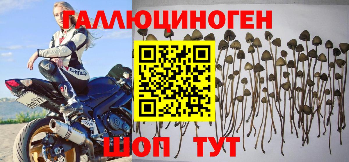 Галлюциногенные грибы MAGIC MUSHROOMS Изобильный